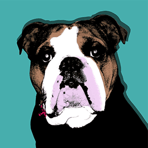 warhol dog pop art canvases