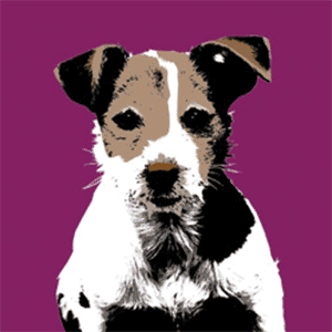 warhol dog pop art canvases
