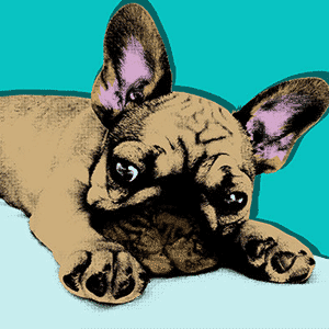 warhol dog pop art canvases