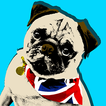 warhol dog pop art canvases