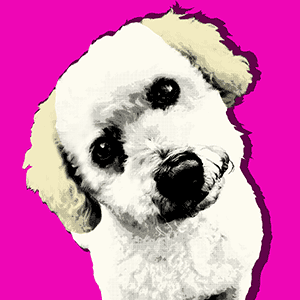 warhol dog pop art canvases